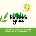 Logo of the podcast Houston Grass - How to Buy, Install and Care for Grass in the Houston Area Podcast Houston Grass - How to Buy, Install and Care for Grass in the Houston Area