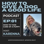 Logo of the podcast How To Give A Dog A Good Life Podcast How To Give A Dog A Good Life