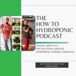 Logo of the podcast How to Hydroponic Podcast How to Hydroponic