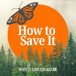 Logo of the podcast How to Save It Podcast How to Save It
