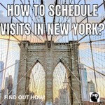 Logo of the podcast How To Schedule Visits In New York? Podcast How To Schedule Visits In New York?