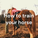 Logo of the podcast How to train your horse Podcast How to train your horse