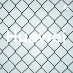 Logo of the podcast Huawei Podcast Huawei