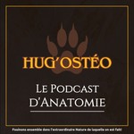 Logo of the podcast Hug'osteo - Le podcast d'anatomie Podcast Hug'osteo - Le podcast d'anatomie