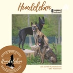 Logo of the podcast Hundeleben Podcast - Alltag, Erfahrungen und Tipps zur Hundeerziehung aus dem echten Hundeleben Podcast Hundeleben Podcast - Alltag, Erfahrungen und Tipps zur Hundeerziehung aus dem echten Hundeleben