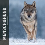 Podcast Hundeschule Gabriela Gehringer / Mensch und Hund