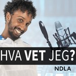 Logo of the podcast Hva vet jeg? Podcast Hva vet jeg?