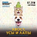 Хвост, усы и лапы Podcast Хвост, усы и лапы
