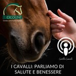 Logo of the podcast I cavalli: parliamo di salute e benessere Podcast I cavalli: parliamo di salute e benessere
