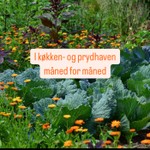 Logo of the podcast I køkken- og prydhaven måned for måned Podcast I køkken- og prydhaven måned for måned