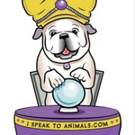 Podcast I Speak To Animals