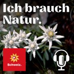 Logo of the podcast Ich brauch Natur Podcast Ich brauch Natur