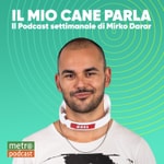 Logo of the podcast Il mio cane parla Podcast Il mio cane parla