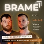 Logo of the podcast BRAME Podcast BRAME