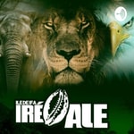 Logo of the podcast Ile De Ifa Ire Aje Podcast Ile De Ifa Ire Aje