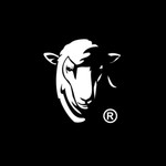 Logo of the podcast Illectric Sheep Podcast Illectric Sheep