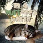 Logo of the podcast In A Purrfect World - Pet Life Radio Original Podcast In A Purrfect World - Pet Life Radio Original