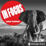 Logo of the podcast In Focus with David Yarrow Podcast In Focus with David Yarrow