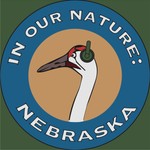 Logo of the podcast In Our Nature: Nebraska Podcast In Our Nature: Nebraska