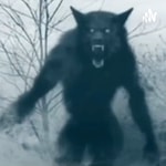 Logo of the podcast In The Dark (Bigfoot, Dogmen, Aliens, All Things Supernatural)