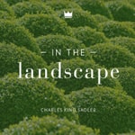 In The Landscape® In The Landscape®