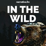 Logo of the podcast In The Wild Podcast In The Wild