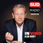 Logo of the podcast In Vino Podcast In Vino