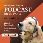 Logo of the podcast Infonimo, les infos en Audio ! Podcast Infonimo, les infos en Audio !