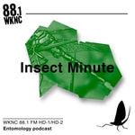 Logo of the podcast Insect Minute Podcast Insect Minute