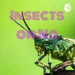 Podcast Insects or No
