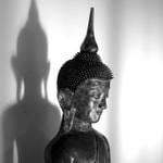 Logo of the podcast Insight Meditation Society - Forest Refuge: dharma talks and meditation instruction Podcast Insight Meditation Society - Forest Refuge: dharma talks and meditation instruction
