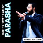 Logo of the podcast Insights from the Parsha (Weekly Torah Portion) with Rabbi Rabbani Podcast Insights from the Parsha (Weekly Torah Portion) with Rabbi Rabbani