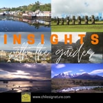 Logo of the podcast Insights with the Guides Podcast Insights with the Guides