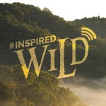 Logo of the podcast #InspiredWild Podcast #InspiredWild