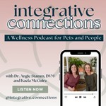 Logo of the podcast Integrative Connections Podcast Integrative Connections