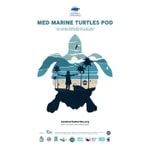 Logo of the podcast INTO THE WORLD OF SEA TURTLES Podcast INTO THE WORLD OF SEA TURTLES