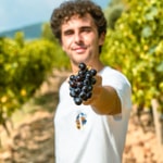 Logo of the podcast Italian Wines Podcast Podcast Italian Wines Podcast