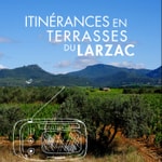 Itinéraires sonores et vin Terrasses du Larzac Podcast Itinéraires sonores et vin Terrasses du Larzac