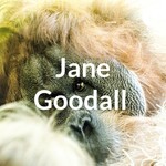 Logo of the podcast Jane Goodall Podcast Jane Goodall