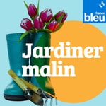 Podcast Jardiner malin