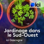 Logo of the podcast Bienvenue au jardin avec Estelle Alquier Missing podcast logo