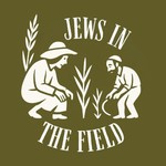 Logo of the podcast Jews in the Field Podcast Jews in the Field