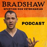 Podcast Jonathan Bradshaw : Sporting Dog Veterinarian