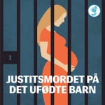 Logo of the podcast Flugten til Tyskland Podcast Flugten til Tyskland