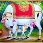 Logo of the podcast ಕಥಾಸುರಭಿ Kathasurabhi Podcast ಕಥಾಸುರಭಿ Kathasurabhi