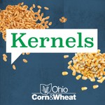 Kernels with Ohio Corn & Wheat Podcast Kernels with Ohio Corn & Wheat