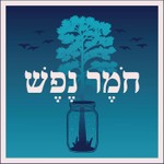 Logo of the podcast חומר נפש Podcast חומר נפש