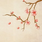 Podcast Kiến thức tâm linh và đời sống | Tâm Linh Toàn Thư