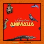 Kingdom: Animalia - A Zoology Podcast for Kids Podcast Kingdom: Animalia - A Zoology Podcast for Kids