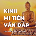 Logo of the podcast KINH Mi Tiên vấn đáp Podcast KINH Mi Tiên vấn đáp